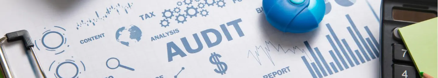 Audit & Assurance Services Bg